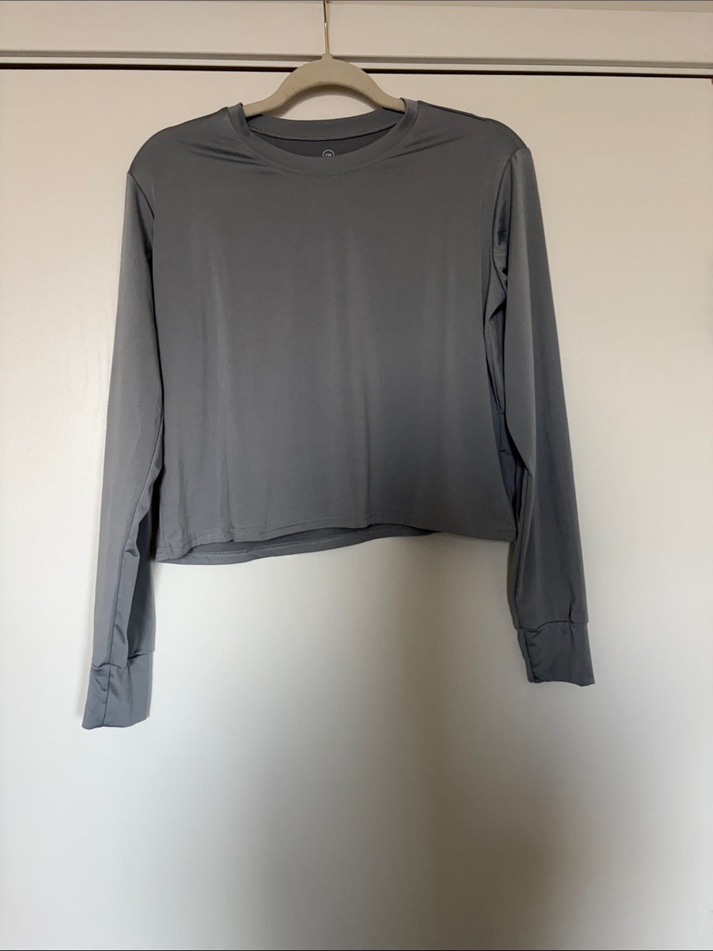 Women’s Long-Sleeve Crew Crop Top — Gray